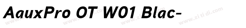 AauxPro OT W01 Blac字体转换 AauxPro OT W01 Blac字体转换
